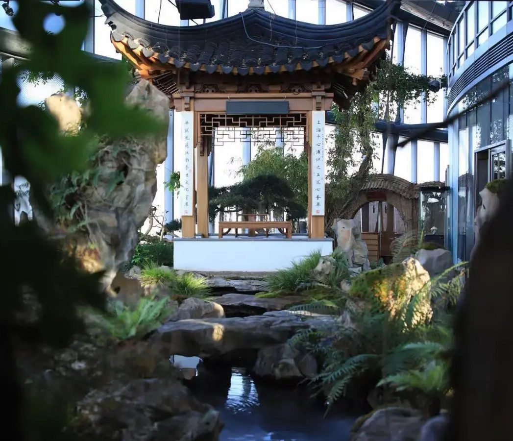 上海后花园论坛 16 区完全指南 · 本地场景