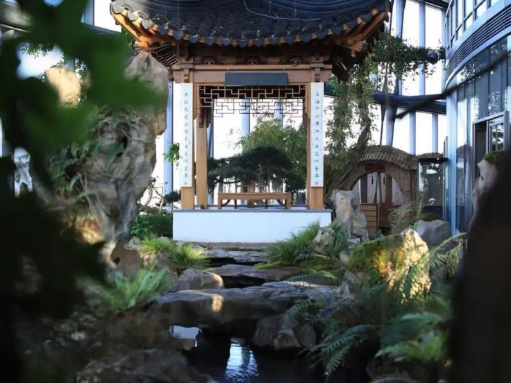 上海后花园论坛 16 区完全指南 · 本地场景