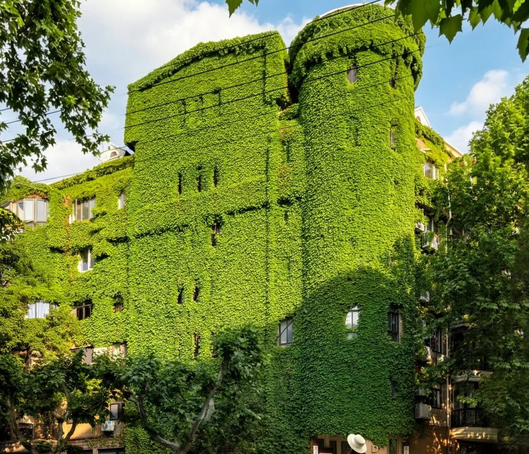 后花园花千坊常见误区 · 本地场景