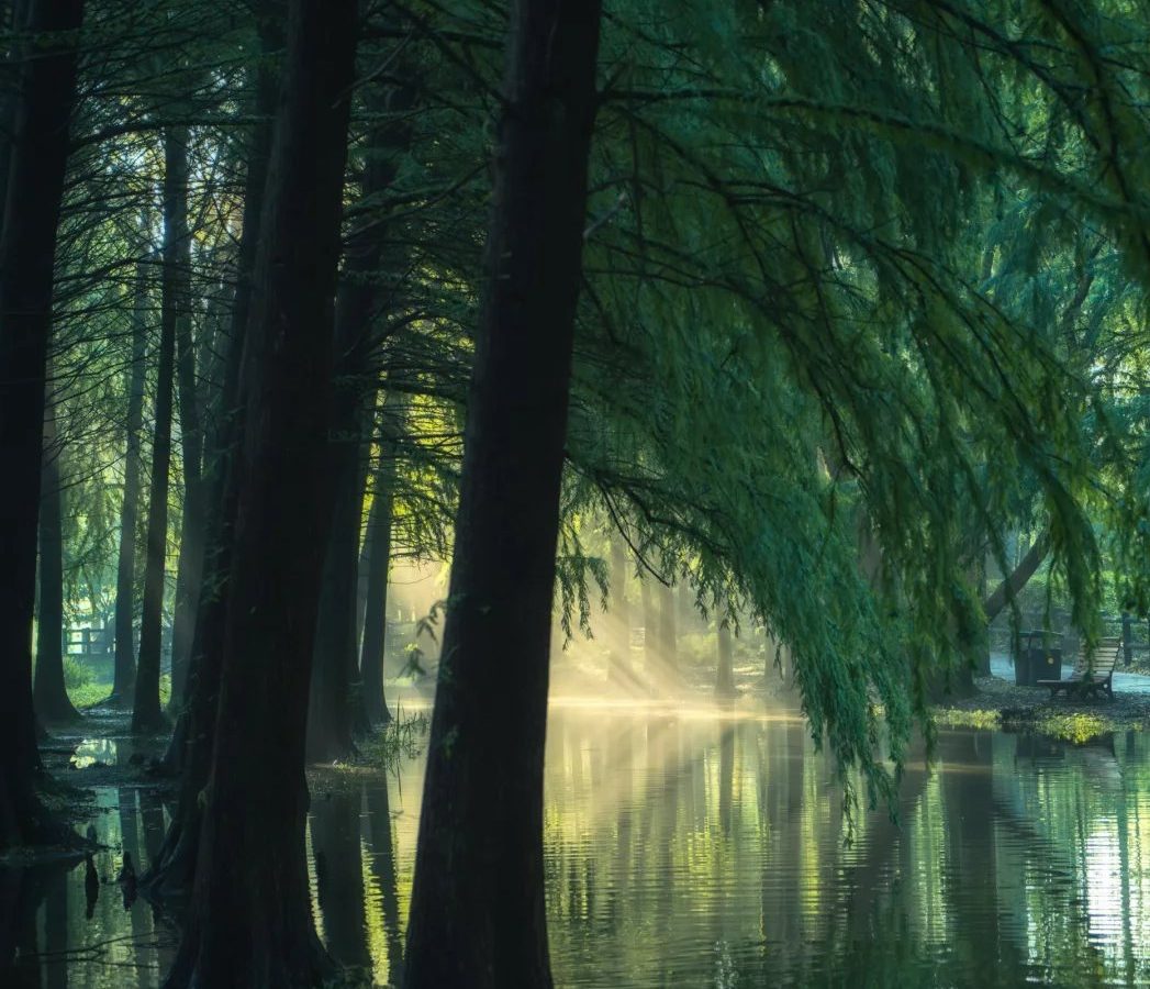 桑拿之后要注意什么 · 本地场景